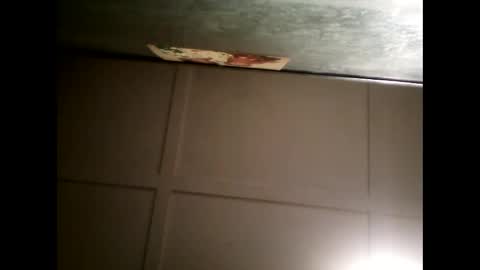 Snapshot of fucmebudoo chatting on January 30, 2025, 11:01 am Warwick online show from January 30, 2025, 11:01 am