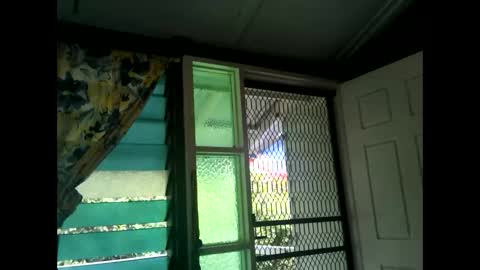 Snapshot of fucmebudoo chatting on February 17, 2025, 3:25 am Warwick online show from February 17, 2025, 3:25 am