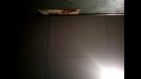 Snapshot of fucmebudoo chatting on February 20, 2025, 8:17 am Warwick online show from February 20, 2025, 8:17 am