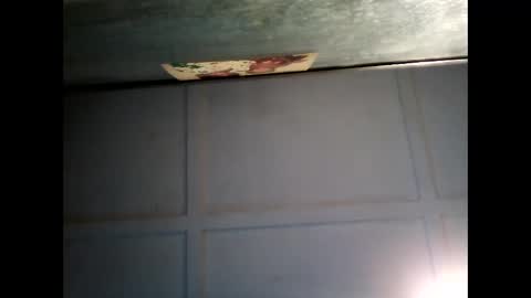 Snapshot of fucmebudoo chatting on February 22, 2025, 7:56 am Warwick online show from February 22, 2025, 7:56 am