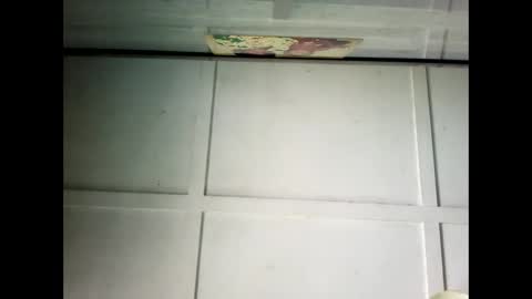 Snapshot of fucmebudoo chatting on February 24, 2025, 1:02 am Warwick online show from February 24, 2025, 1:02 am