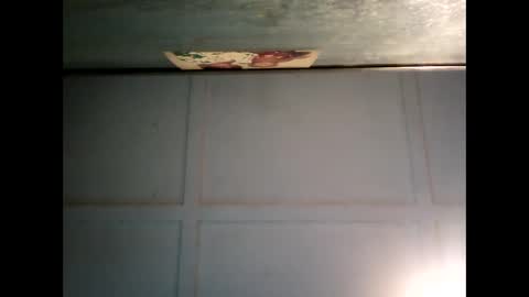 Snapshot of fucmebudoo chatting on February 24, 2025, 7:33 am Warwick online show from February 24, 2025, 7:33 am