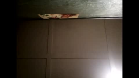 Snapshot of fucmebudoo chatting on February 28, 2025, 1:03 pm Warwick online show from February 28, 2025, 1:03 pm