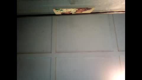 Snapshot of fucmebudoo chatting on March 3, 2025, 6:37 am Warwick online show from March 3, 2025, 6:37 am