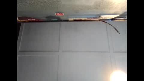 Snapshot of fucmebudoo chatting on September 20, 2025, 2:56 am Warwick online show from September 20, 2025, 2:56 am