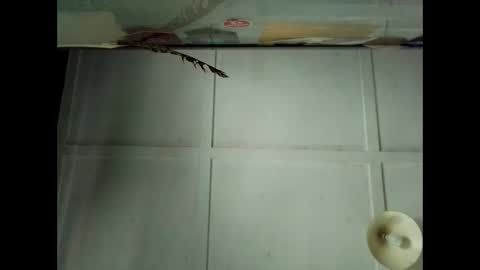 Snapshot of fucmebudoo chatting on October 4, 2025, 12:41 am Warwick online show from October 4, 2025, 12:41 am