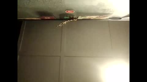 Snapshot of fucmebudoo chatting on October 8, 2025, 8:12 am Warwick online show from October 8, 2025, 8:12 am