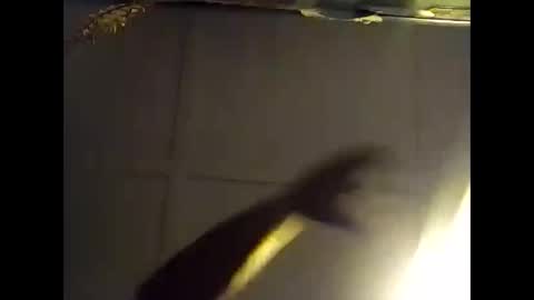 Snapshot of fucmebudoo chatting on October 28, 2025, 7:34 am Warwick online show from October 28, 2025, 7:34 am