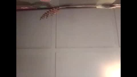 Snapshot of fucmebudoo chatting on October 30, 2025, 11:16 pm Warwick online show from October 30, 2025, 11:16 pm