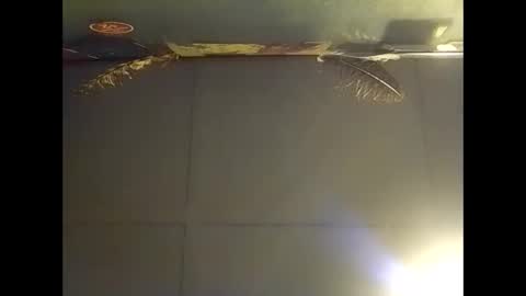 Snapshot of fucmebudoo chatting on November 2, 2025, 7:44 am Warwick online show from November 2, 2025, 7:44 am