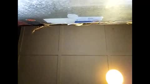 Snapshot of fucmebudoo chatting on November 29, 2025, 9:23 am Warwick online show from November 29, 2025, 9:23 am