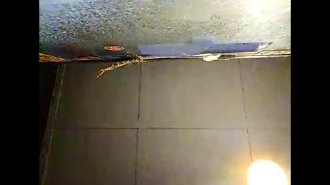 Snapshot of fucmebudoo chatting on November 30, 2025, 10:30 am Warwick online show from November 30, 2025, 10:30 am