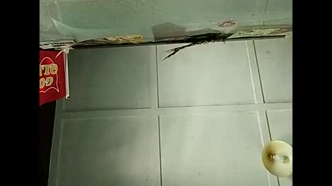 Snapshot of fucmebudoo chatting on December 3, 2025, 2:41 am Warwick online show from December 3, 2025, 2:41 am