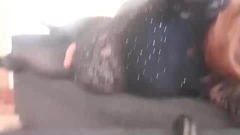 Pizzaz online show from December 29, 2024, 2:17 am