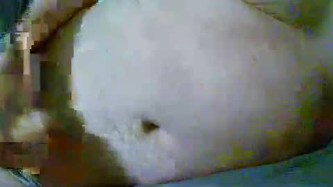 fultonstreet196860 online show from April 10, 2026, 12:38 am