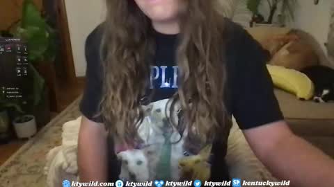   Thank you for visiting I hope you had fun 3 online show from January 7, 2025, 11:14 pm