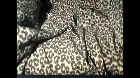 Snapshot of funcyman3 chatting on February 18, 2025, 6:04 pm funcyman3 online show from February 18, 2025, 6:04 pm