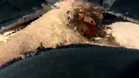 Snapshot of funtime741 chatting on December 10, 2024, 2:16 am funtime741 online show from December 10, 2024, 2:16 am