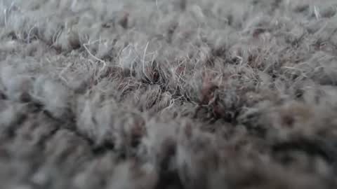 Mark online show from January 19, 2026, 5:11 am