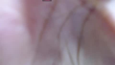 Snapshot of gabriela_morales01 chatting on December 12, 2024, 5:31 am .  online show from December 12, 2024, 5:31 am