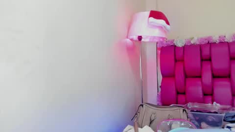 Snapshot of gabrielaa_01 chatting on January 3, 2025, 4:37 pm Gaby Im on vacation see you on November 25 online show from January 3, 2025, 4:37 pm