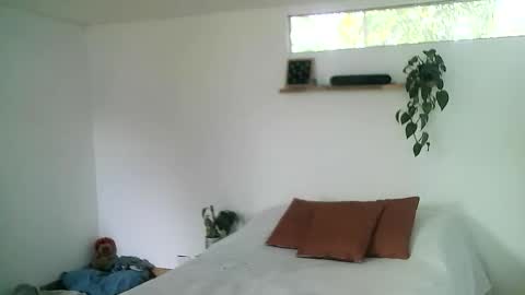 Snapshot of gaelgarcia07 chatting on March 1, 2026, 8:11 pm Gael Garca online show from March 1, 2026, 8:11 pm