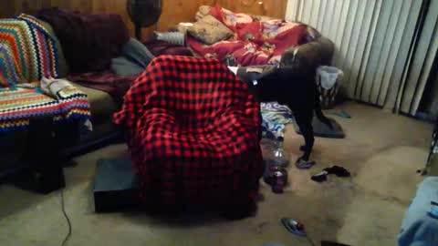 Snapshot of gamerfiend420 chatting on October 17, 2025, 1:53 am gamerfiend420 online show from October 17, 2025, 1:53 am
