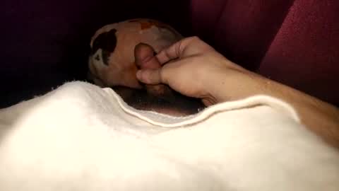 ganja28511 online show from January 24, 2025, 9:17 am