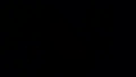 Snapshot of gardener666 chatting on January 26, 2025, 10:57 pm Gard online show from January 26, 2025, 10:57 pm