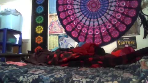 Gardenia online show from February 22, 2026, 8:40 pm