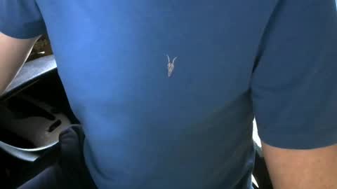 gay slave on cam online show from October 5, 2025, 9:40 am