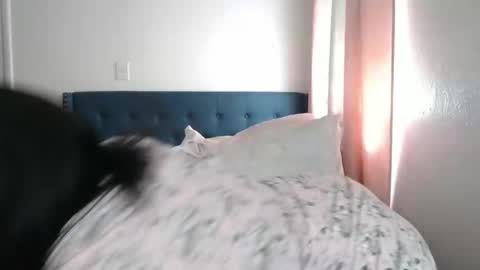 Snapshot of geishapaige chatting on March 2, 2025, 6:19 pm The Empress online show from March 2, 2025, 6:19 pm