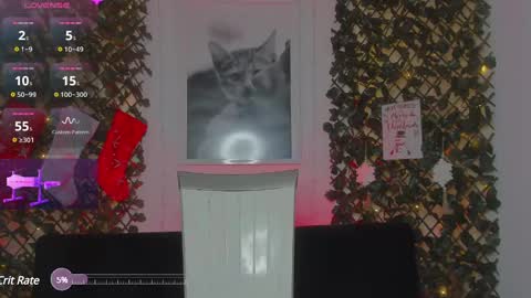 Geminis online show from January 21, 2025, 6:54 am