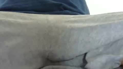 Snapshot of gent063 chatting on July 6, 2026, 3:36 pm gent063 online show from July 6, 2026, 3:36 pm