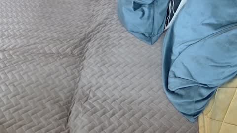 Melissa online show from February 17, 2026, 11:29 am