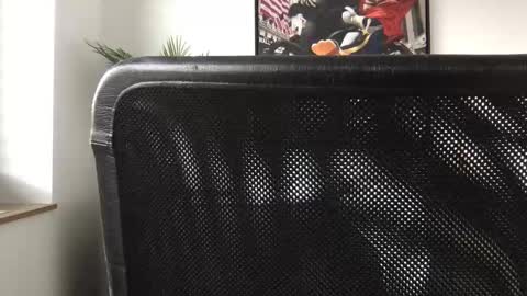 german3003 online show from October 28, 2025, 9:46 am