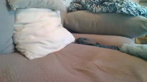 Getsome11 online show from March 8, 2026, 12:53 pm