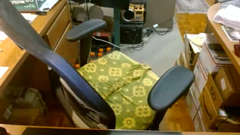 gfhdhr2 online show from March 30, 2026, 4:46 am