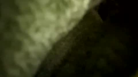gh0stp3wp3w online show from June 18, 2026, 9:14 am