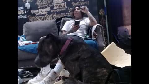 Snapshot of ghxstface23 chatting on September 11, 2025, 2:00 am ghxstface23 online show from September 11, 2025, 2:00 am