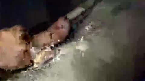 Snapshot of gifted2472 chatting on October 12, 2025, 5:06 am gifted2472 online show from October 12, 2025, 5:06 am