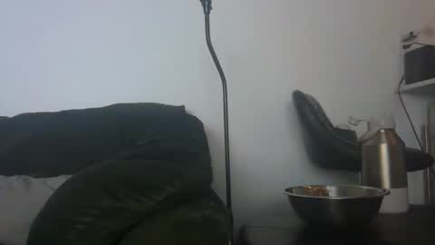 Snapshot of gildedsins1 chatting on February 24, 2026, 6:33 am WildBoyVibes online show from February 24, 2026, 6:33 am