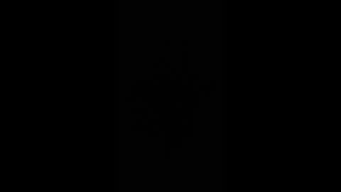 gjpj1 online show from February 26, 2026, 12:59 pm