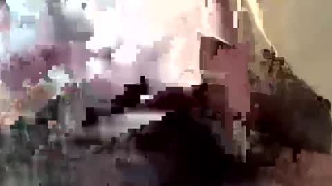 gmenocal21 online show from February 27, 2025, 7:58 pm