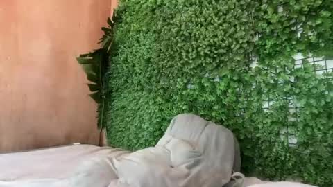 Snapshot of goddess_jennyxx chatting on March 29, 2026, 11:32 am goddess_jennyxx online show from March 29, 2026, 11:32 am