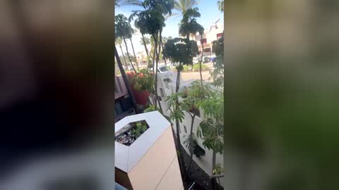 Goddess L online show from April 20, 2026, 9:01 am