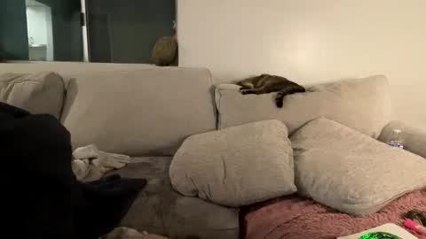 GoddessMayvn online show from February 3, 2025, 9:52 am