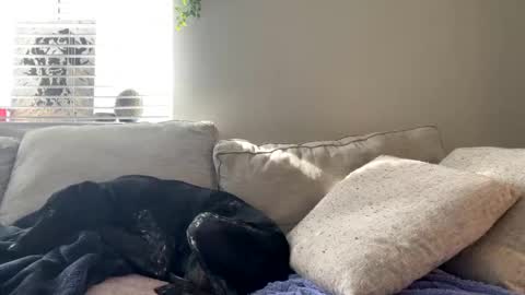 GoddessMayvn online show from February 17, 2025, 9:52 pm