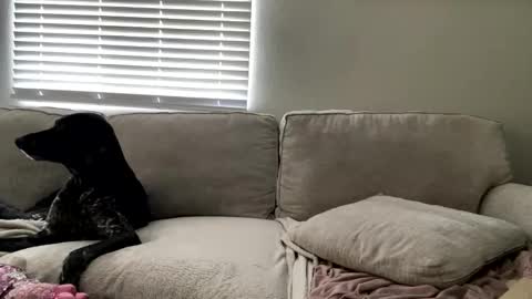 Snapshot of goddessmayvn chatting on May 4, 2026, 3:41 pm GoddessMayvn online show from May 4, 2026, 3:41 pm