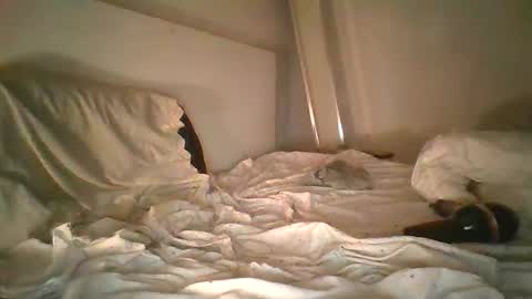 Snapshot of godonsin chatting on December 17, 2024, 7:50 am godonsin online show from December 17, 2024, 7:50 am